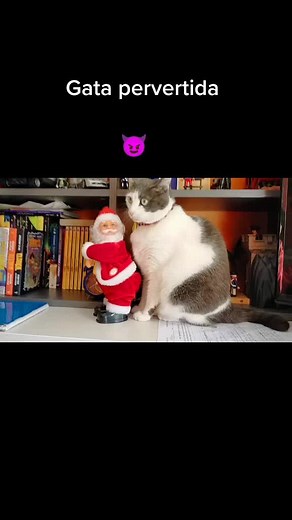 Videos de baloo_777 (@baloo_777) con “sonido original - baloo_777”