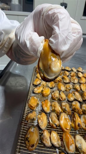 Last of the mahi for the week - super impressed with how "shellfire" is running 😮‍💨😮‍💨 Enjoy your day team 🙌😊🫶 | The KUTAI GUY