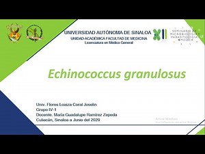 12. Equinococcus granulosus