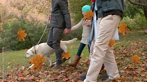 Digital composition of autumn maple leaves icons floating over caucasian family walking in the park