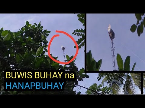 POINT TO POINT (P2P) internet connection/antenna /tower installation.