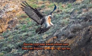 Монгол хүн болж Монгол эх орондоо амьдрах ч жаргалын диваажин юмаа 💖 Ямар гоё зураглал үзэсгэлэн бэ🥰🥰🥰🥰 | Анударь