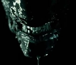 X VS. D | Xenomorph Fanspage