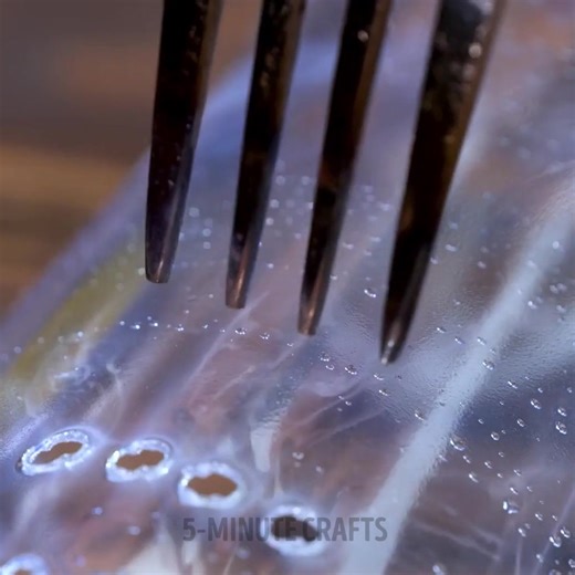 Green thumbs up: Tips and tricks for a thriving garden | 5-Minute Crafts