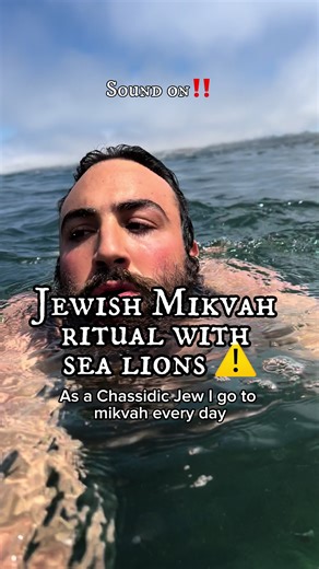 Jewish mikvah ritual woth sea lions ‼️ #jewish
