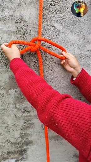 With this one knot, your load will never come undone! #knot #technique #knowledge #usatoday #usa #mexico #diy #knots #reels #trending #trend #viral #diy #reelsfb #reelsviral #reelsvideo #creative #craft #viralvideo #viralreels #trendingreels #trendingnow #video #short #shortsvideos #shortreels #shortfeed #shortsviral #shortvideofbreels | Mystery Lab