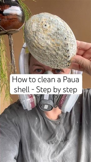 How to clean a Paua shell 🐚