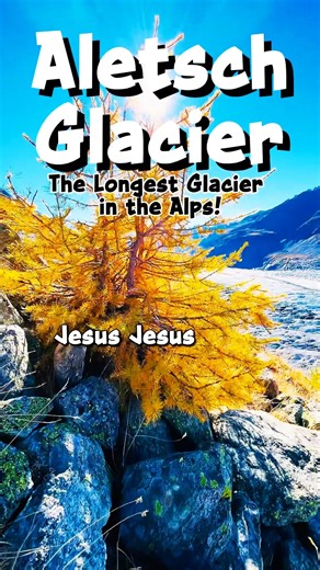 Aletsch Glacier - The Longest Glacier in the Alps! #AletschGletscher #AletschGlacier #SwissAlps