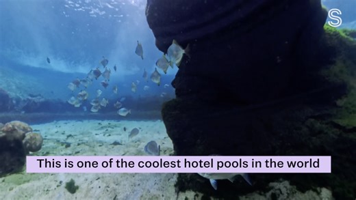 One of the world's most incredible hotel pools