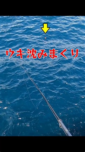 ウキが沈むと気持ちいい #海釣り #堤防釣り #カゴ釣り