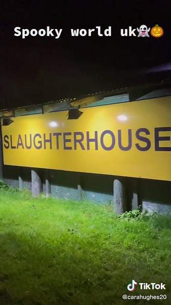 Spooky world 🎃👻 #halloween #spookyworld2022 #spookyworld #scarefest #fyp #foryoupage #StopScammerTime #fieldsofscreams #clowns #scary