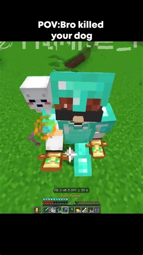 Bro killed your dog #minecraft