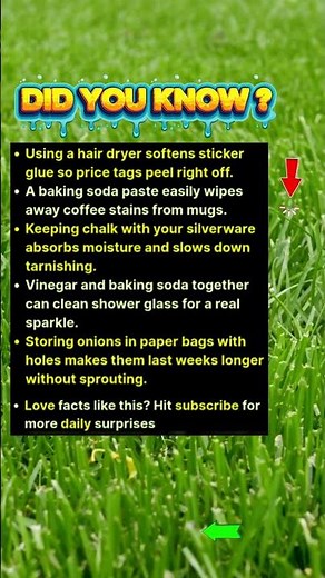 How To Remove Any Sticker In Seconds With One Trick