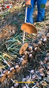 96K views · 61 reactions | Enhance your farm-to-table experience with...