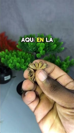 🙏😭 **SEÑOR JESÚS, ABRE CAMINOS DE PROVISIÓN Y ESPERANZA PARA CADA PERSONA QUE HOY TE NECESITA ❤️✝️**
