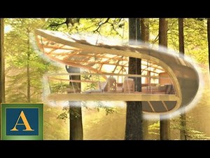 LUXUS Baumhäuser die es wirklich gibt!