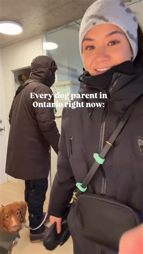 Mushu & Marmy on Instagram: "Polar vortex no problem ⛄️ Did my Ontario friends get a chance to go outside today? We took full advantage of the empty streets and huge dump of snow. Mushu and Marmy had way too much fun 🤍"