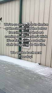 The Cattery Cat Shelter on Reels