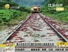 视频：澳大利亚百万红蟹大迁徙 封堵公路铁路