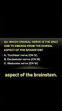 🧠 Cranial Nerves Quiz |Anatomy Quiz Challenge!