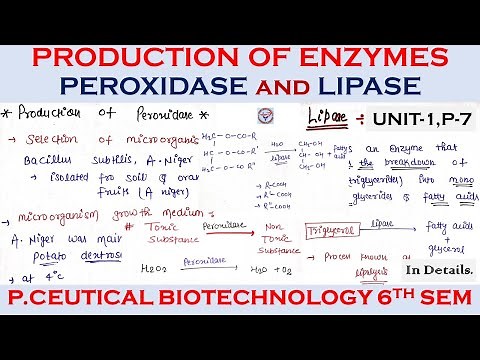 Production of enzymes | Peroxidase And Lipase Production |Pharmaceutical Biotechnology | u-1 Part-7