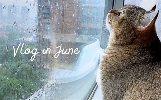 Vlog｜搬家电脑屏碎的真凶们、偷摸吃午饭真爽、看蜘蛛侠最喜欢谁？