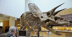 6 dinosaur myths from your childhood debunked by science