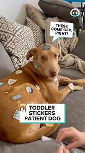 75K views · 2.6K reactions |  | ViralHog | Facebook