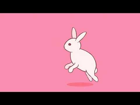 bunny hop (animation)