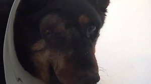 5.1K views · 280 reactions | If you're already feeling sad from the...