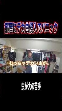 部屋に虫侵入も奇跡の追い出しに成功ｗｗｗｗｗ