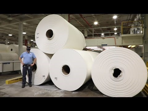 How Toilet Paper Is Made