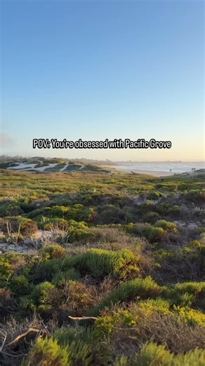 4.5K views · 1.4K reactions | ✨ POV: You can’t get enough of Pacific Grove ✨ It’s no surprise HGTV named PG one of the Top 40 Most Charming Downtowns in America  and Smithsonian called it one of the Top 15 Small Towns to Visit ✨From breathtaking coastal views and historic charm to incredible wildlife and hidden gems, PG truly has it all. #PacificGrove #CharmingDowntown #TravelGoals | City of Pacific Grove | Facebook
