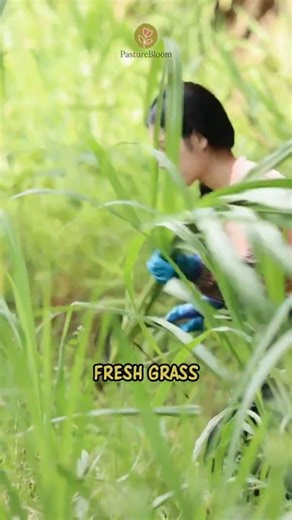 This Simple Tool Makes Farming Easier