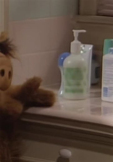 ALF on ALF S01:E01 - A.L.F.