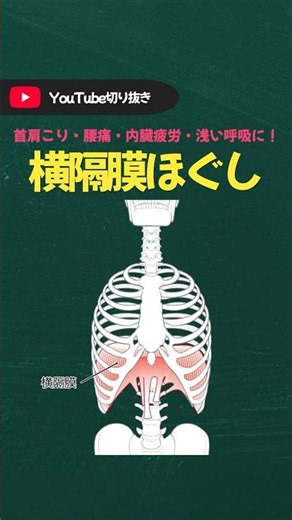 首肩こり・腰痛・内臓の疲労をやさしく整える横隔膜ほぐし #shorts