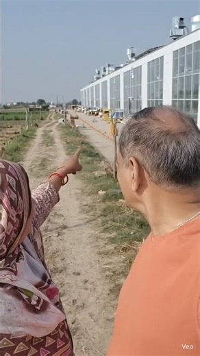 "Indian Farmer Managing Chicken & Egg Farm 🐔🥚 | Fresh Poultry Production in Rural India"#viral