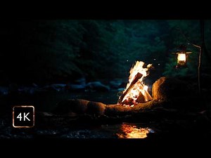 Real Campfire by the Dark River — Hidden Spot in the Forest | Deep Night Ambience (4K)