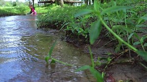 Children playing barefoot in stream water, play mud and sand.