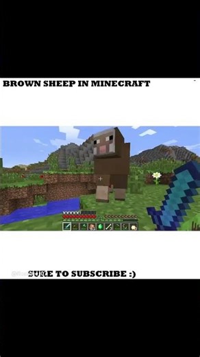 FOUND BROWN SHEEP IN MINECRAFT #youtubeshorts #minecraft #shorts