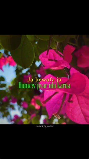 Aamir______________ | Ja bewafa ja💔🥹 Humey pyar nhi karna . . . . . . . . . . . . . . . . . . . . . Keywords: Kashmir, videography, aesthetic, nature, songs, old... | Instagram