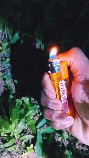 What I Saw with a Torch at Midnight 🔦 😱 | Night Hide #NightHide #Short