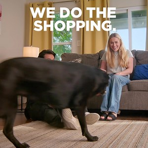 Looking for affordable car insurance? We got you covered. ☑️We shop dozens of programs ☑️We find you the lowest rates ☑️We can activate your policy within seconds | A-MAX Auto Insurance