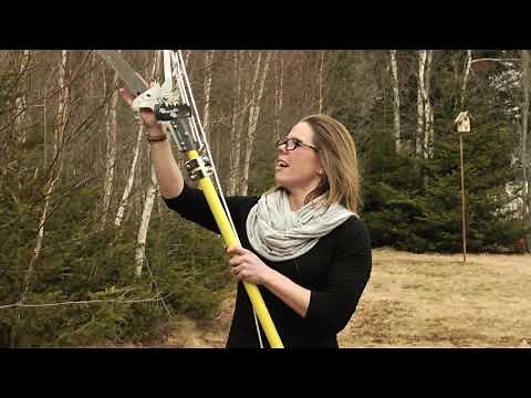 Yardworks Tree Pruner - Tasha's Testimonial