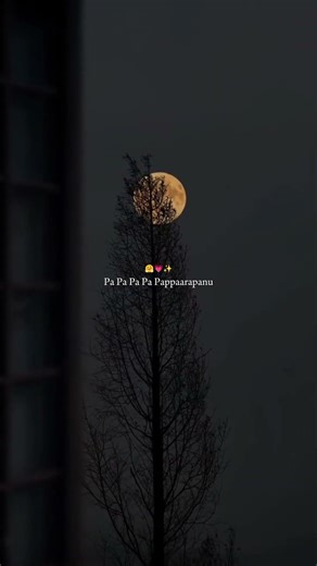 The Girl who changed everything✨|Telugu song,songs telugu #shorts #love #song #trending #reels