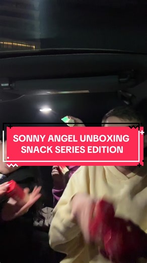 Sonny Angel Unboxing: Snack Series Edition