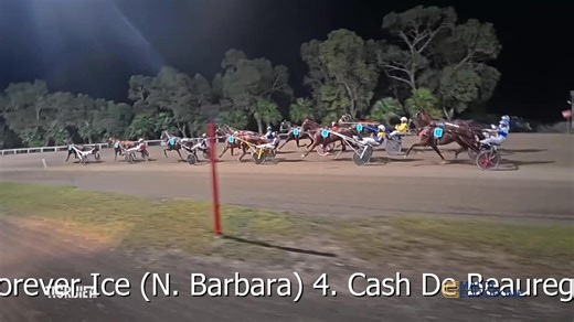 10K views · 159 reactions | The Mapfre Insurance Final for class Silver trotters held on Friday 1st November 2024. This was won by Carbonfiber driven by Jesmar Gafa'. | Tigrijiet Biss | Facebook