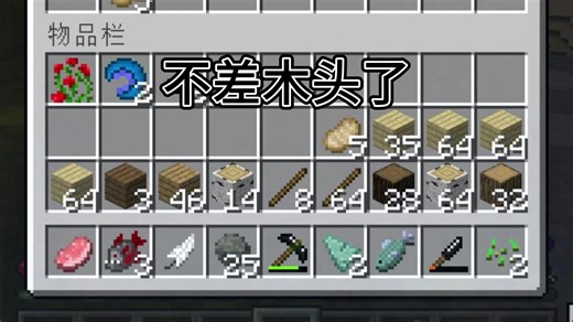 【RLCraft】1野生的大礼包