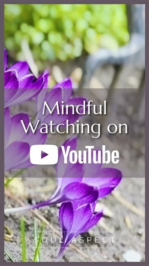 Spring Birdsong and Relaxing Nature Sounds 🌸 (4K) #birdsong #naturesounds #relaxingsounds