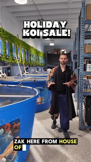 House of Koi on Instagram: "From Japan’s most legendary koi farms to your pond! We personally select each koi, transport them with care, and quarantine them to ensure they arrive healthy, vibrant, and thriving. To celebrate our website launch for the holidays, enjoy 10% off your first order with code KOI10 at checkout #koi"
